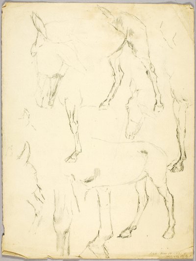 Portrait Study, Horse Study by Solon H. Borglum