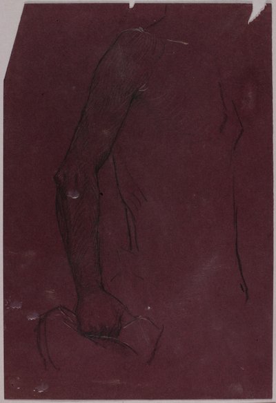 Torso, study for Equestrian Monument by Solon H. Borglum