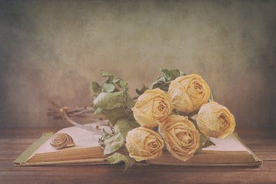 Dried Roses On Old Book by Sophie Pan