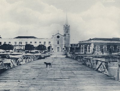 A Link with the Old World, Mozambique by South African Photographer
