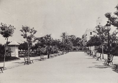 Cadiz: Alameda de Apodaca by Spanish Photographer