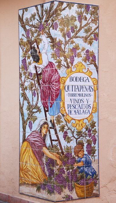 Ceramic Tile Picture of Grape Picking Outside Bodega Quitapenas by Spanish School