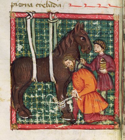 Mending the Fractured Metacarpal of a Horse, from Libro de Menescalcia y Albeyteria by Juan Alvarez by Spanish School