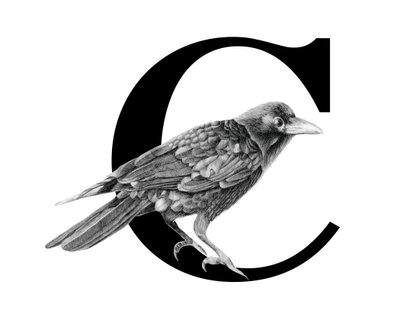 C is for Crow by Stacy Hsu