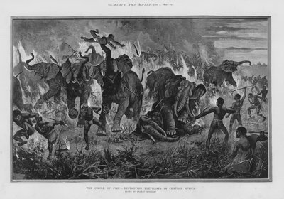 The circle of fire - destroying elephants in Central Africa by Stanley (after) Berkeley