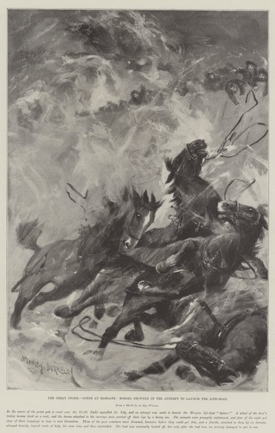 The Great Storm, Scene at Margate, Horses drowned in the Attempt to launch the Life-Boat by Stanley Berkeley