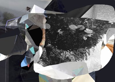 Fragmented Water Lilies by Stefan Fransson