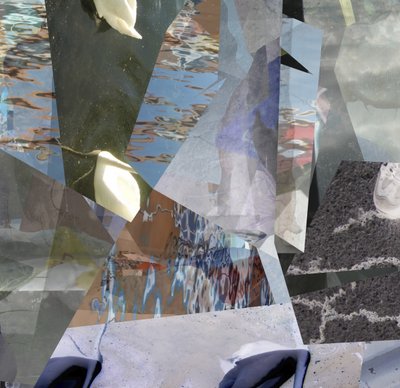 Fragmented Water Swans by Stefan Fransson