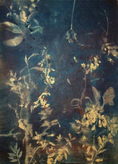 Ethereal Blue Botanicals by Stefano Mazzolini