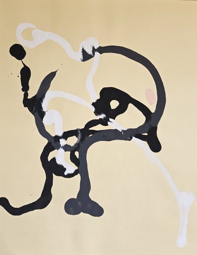Flowing Abstract Lines by Stefano Mazzolini