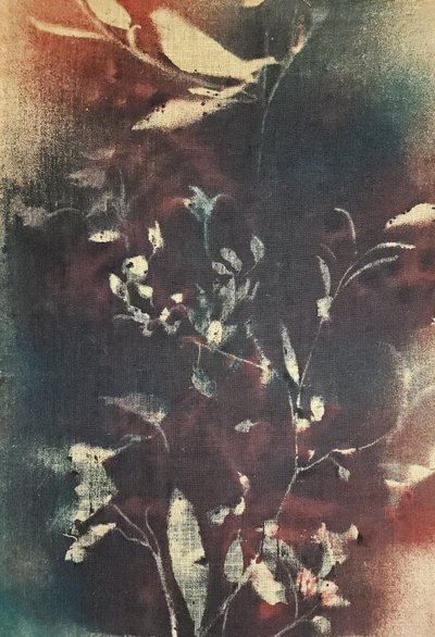 Moody Botanical Branches by Stefano Mazzolini