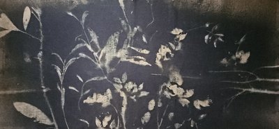 Shadow Garden Bloom by Stefano Mazzolini