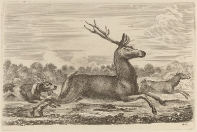 Deer Chased by Two Dogs to the Left by Stefano della Bella