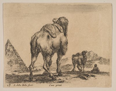 Plate 18: camel viewed from behind with pyramid at left, from 