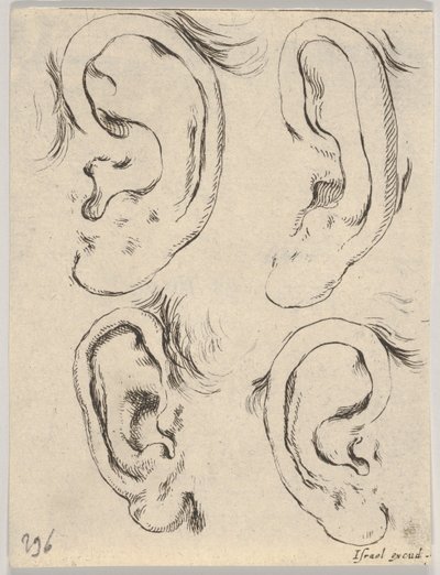 Plate 5: four ears, from The Book for Learning to Draw Livre pour apprendre à dessi, ca. 1649 by Stefano della Bella