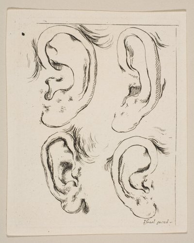 Plate 5: Four Ears, from The Book for Learning to Draw by Stefano della Bella
