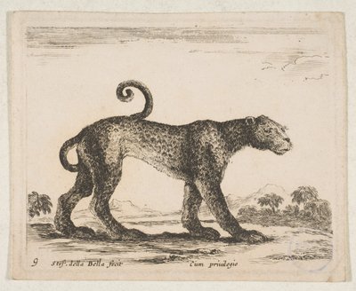 Plate 9: leopard, from 