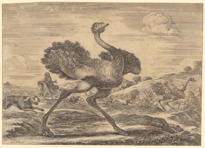 Ostrich Hunt by Stefano della Bella