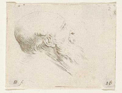Head of a Bald Old Man by Stefano della Bella