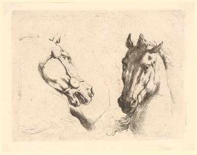 Two Horse Heads, Plate 1 from the Series "Various Animal Heads" by Stefano della Bella