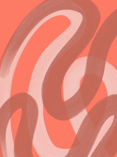 Abstract Coral Flow by Studio Palette