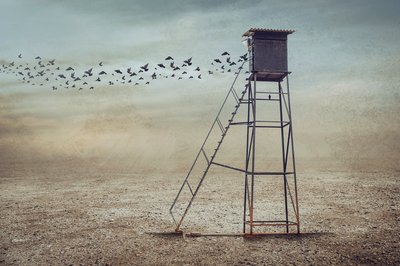 Birds Over Lone Watchtower by Sulaiman Almawash