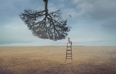 Floating Tree Contemplation by Sulaiman Almawash