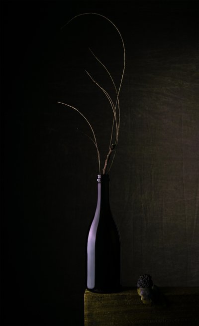 Dark Bottle Still Life by Sumit Dhuper