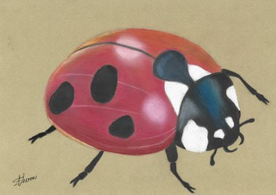 Cute Red Ladybug by Sunet Theron