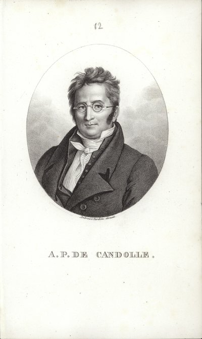 Augustin Pyramus de Candolle by Swiss School