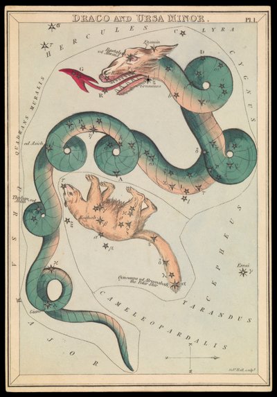 Draco and Ursa Minor by Sydney Hall