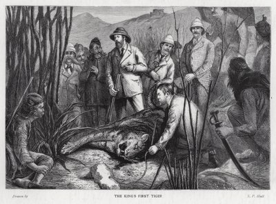 King Edward VII with the tiger he has killed by Sydney Prior (after) Hall