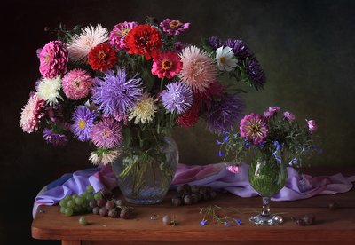 Vibrant Aster Still Life by Tatyana Skorokhod