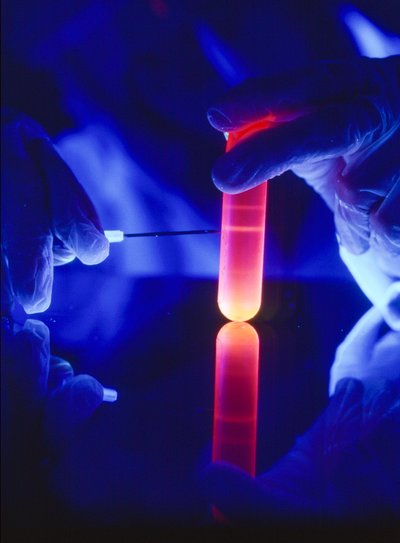 Extracting nucleotides of RNA from a plastic centrifuge tube by Ted Spiegel