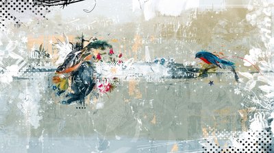 Birdalicious by Teis Albers