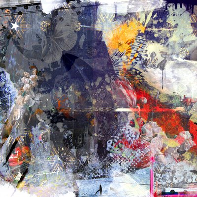 Fall from Grace, 2015 by Teis Albers