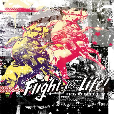 Flight for Life!, 2015 by Teis Albers