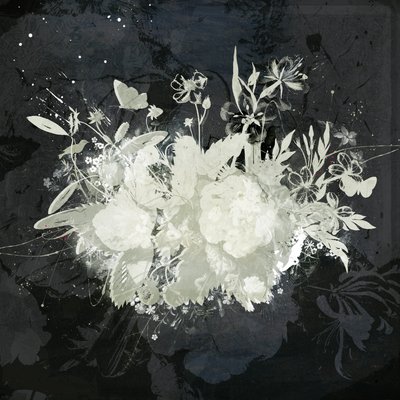 Floral Silhouette by Teis Albers