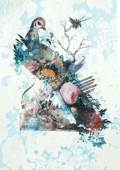 Wildness Rework by Teis Albers