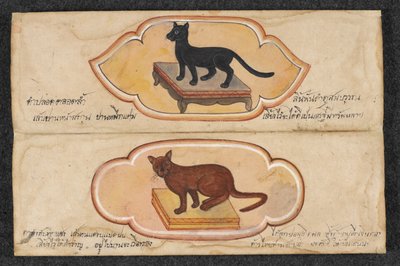 Siamese Cats, Fol. 1: two lucky cats to support business and accumulation of wealth by Thai School
