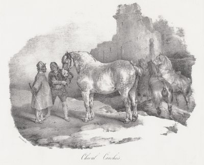 A Native Horse from Caux, Normandy by Theodore Gericault