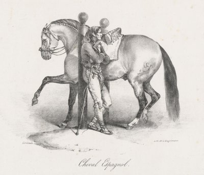 Spanish Horse by Theodore Gericault