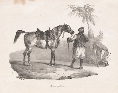 Egyptian Mare by Theodore Gericault