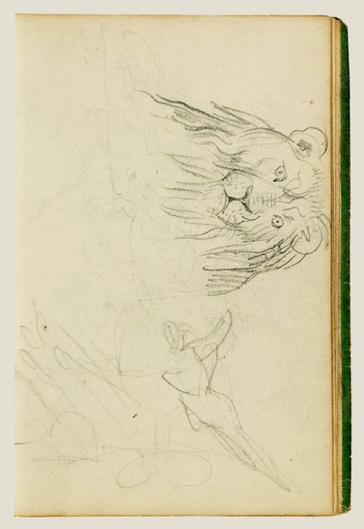 Head-on View of Seated Lion by Theodore Gericault