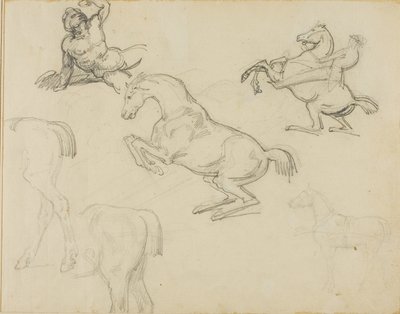 Sketches: Reclining Nude, a Horseman and Various Horses by Theodore Gericault
