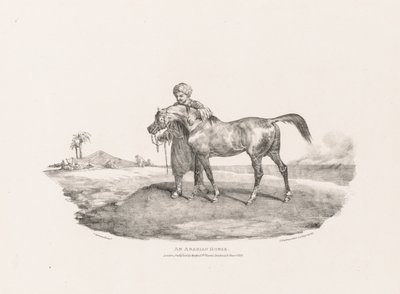 Various Subjects Drawn from Life and on Stone: An Arabian Horse by Theodore Gericault