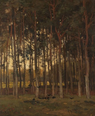 View in the Woods by Theophile de Bock