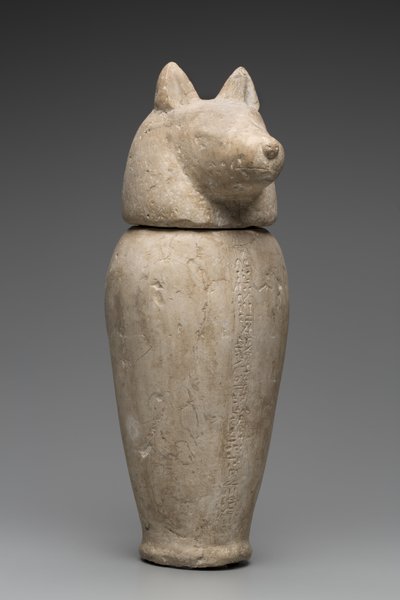 Canopic Jar with Jackal