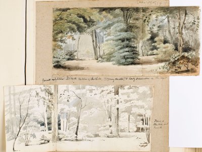 Part of the grounds at Merton with an arbour and trees by Thomas Baxter