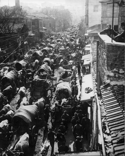Refugees stream into Constantinople, waiting for a ship to Asia during the Turkish Revolution, 1909 by Thomas E. and Horace Grant Grant